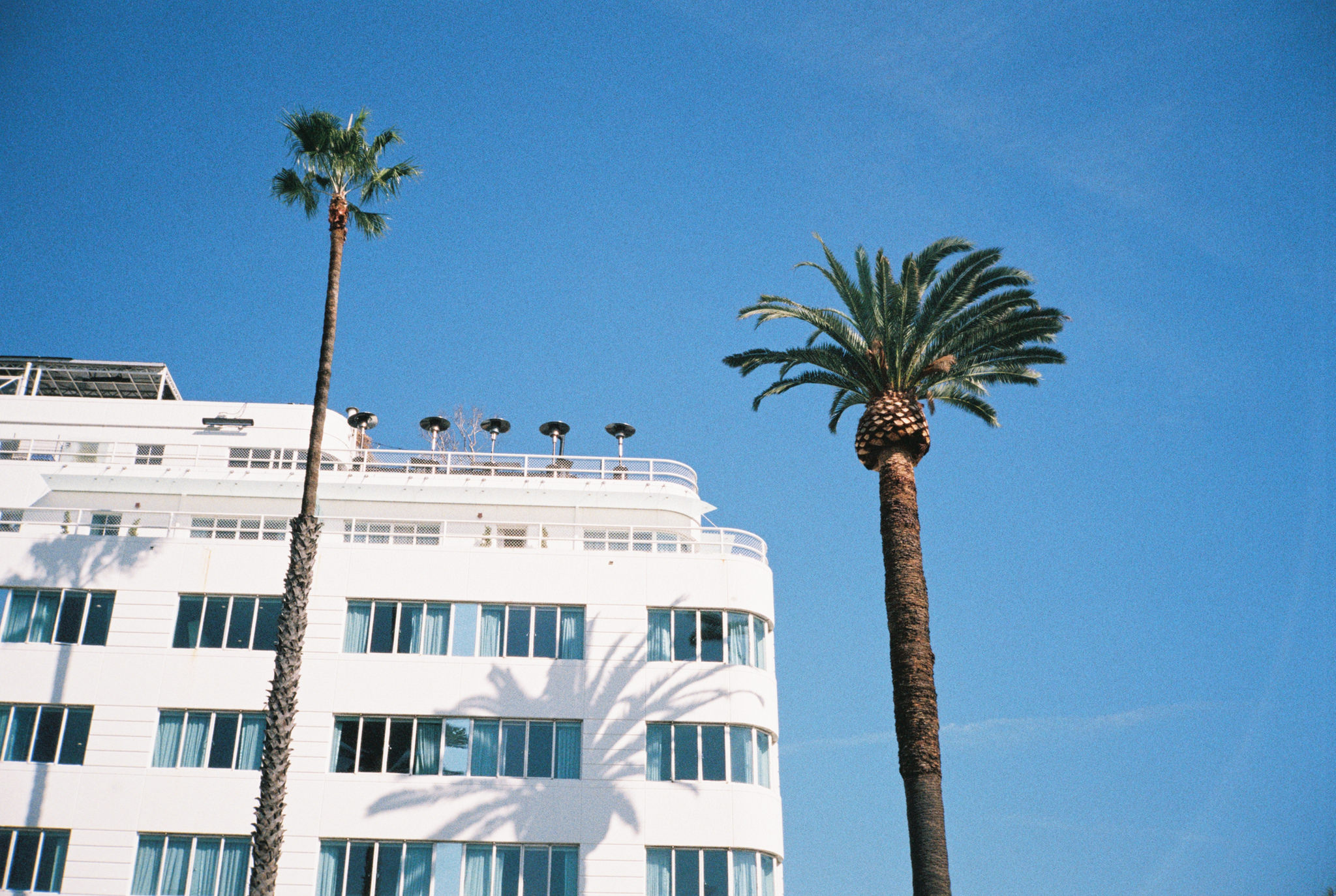 Wasting Film in Santa Monica With the Contax T2