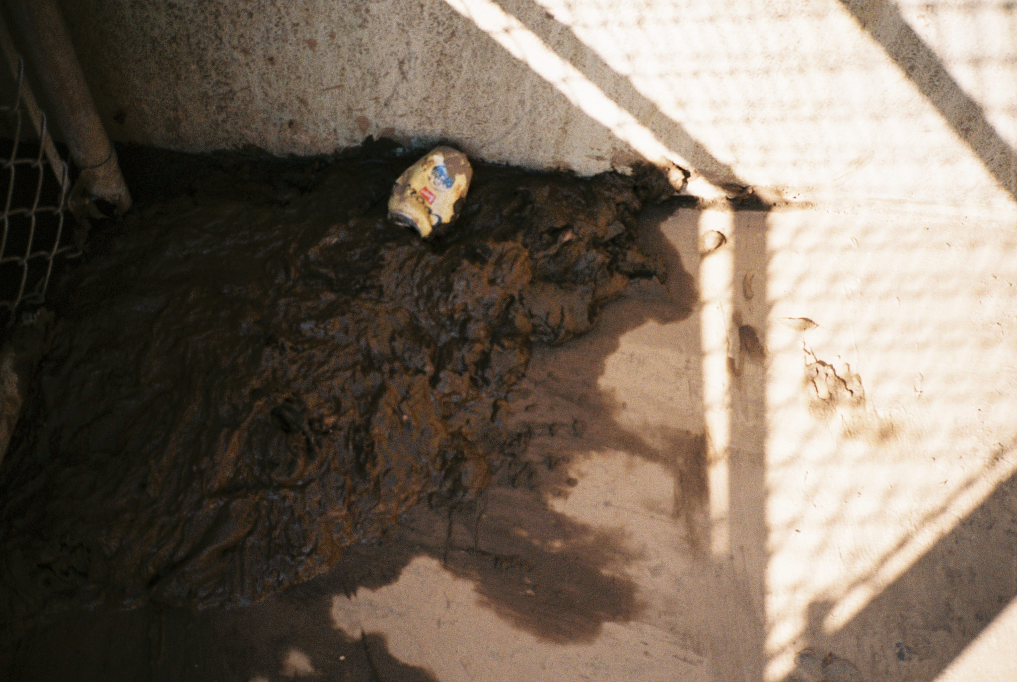 Wasting Film in Santa Monica With the Contax T2