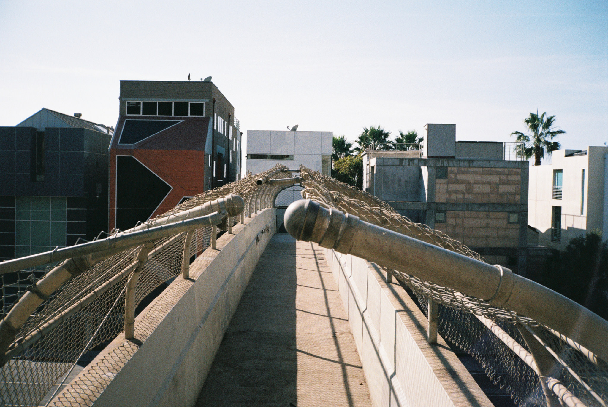 Wasting Film in Santa Monica With the Contax T2