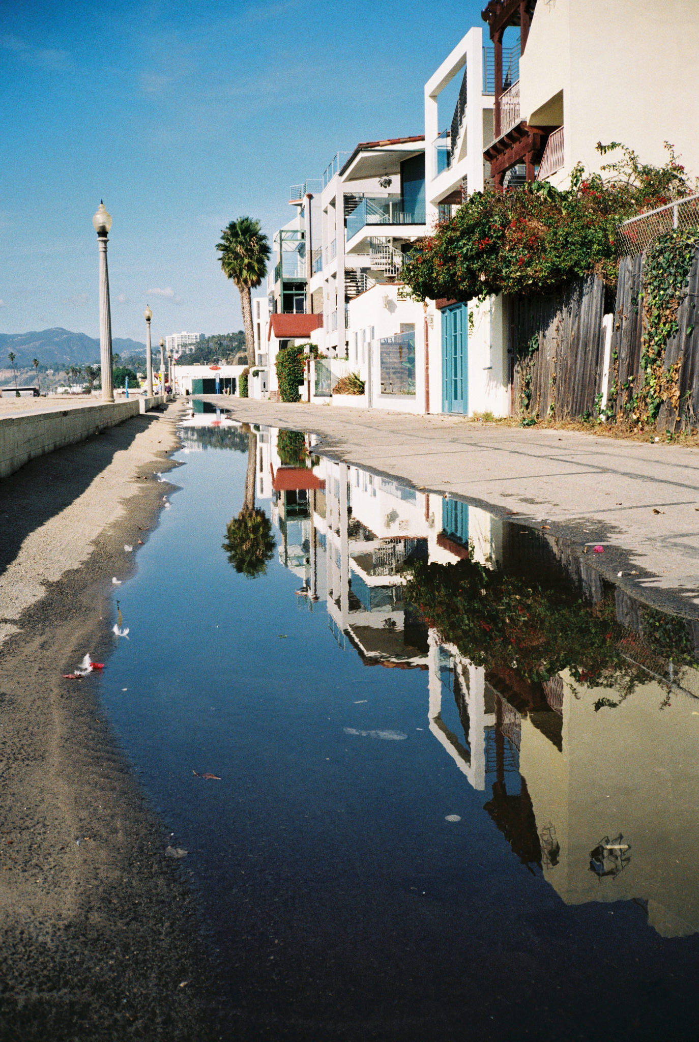 Wasting Film in Santa Monica With the Contax T2