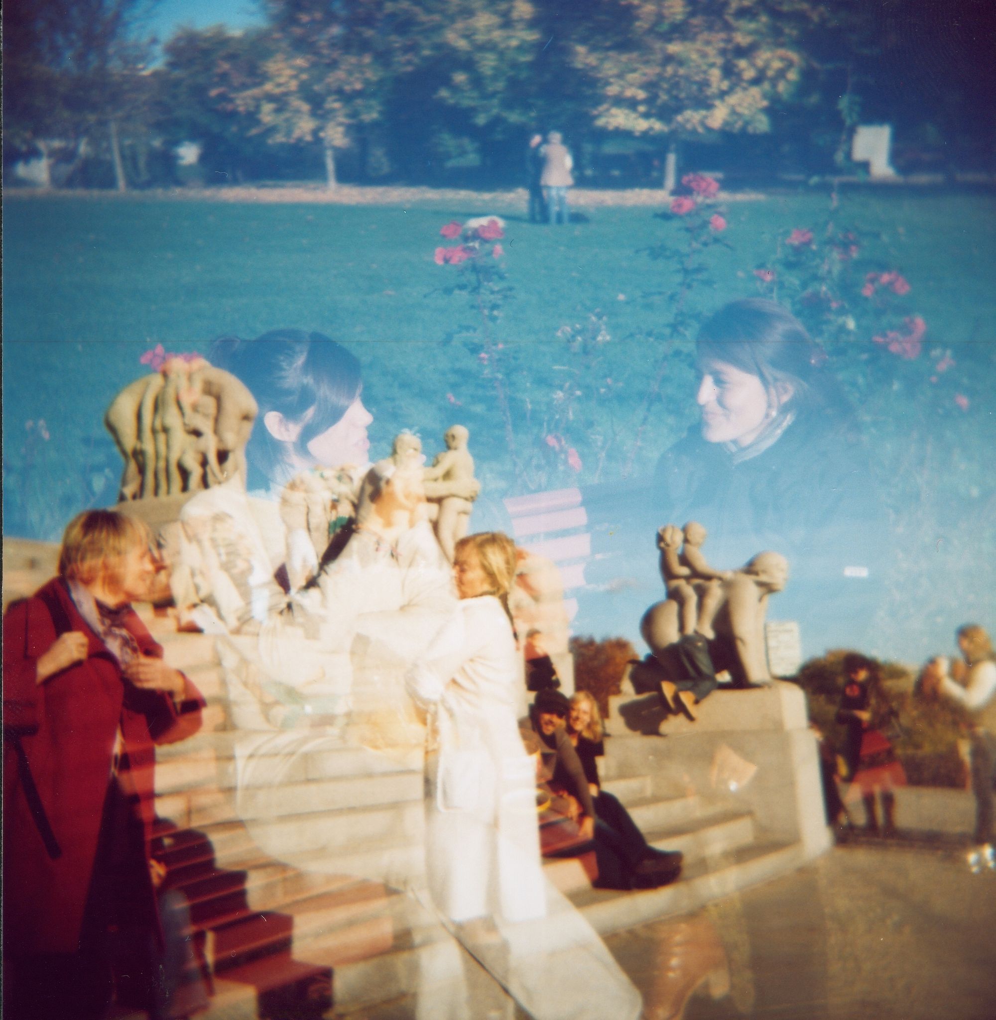 Don't Think Just Shoot | Holga 120CFN