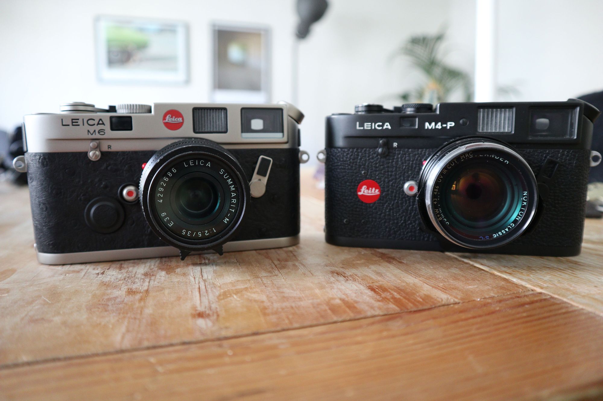 Leica M6 vs Leica M4-P : What's the difference?