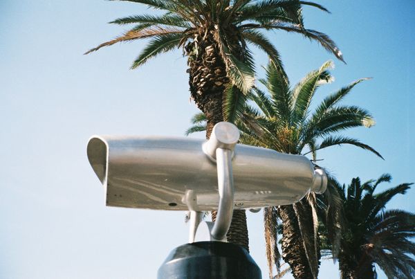 Wasting Film in Santa Monica With the Contax T2